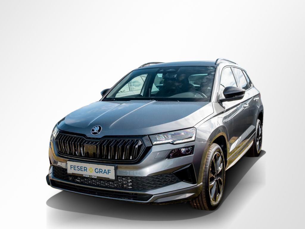 Skoda Karoq - Bild 14
