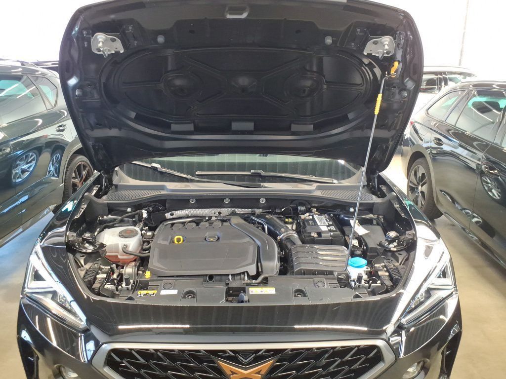 Cupra Formentor 1.5 TSI Klima*Tempo*PDC*RFK*SH