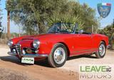 Alfa Romeo Giulia Spider Targa Oro (M1383) - Alfa Romeo Giulia: Cabrio