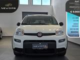 Fiat Panda Fiat Panda 1.0 FireFly S&S Hybrid Cit - Fiat Panda: Fire