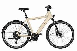 Riese & Müller Culture touring