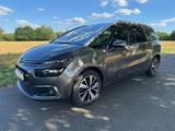 Citroën 1,6 HDI / EAT6 / 1. HD / XENON / SCHECKHEFT - Citroën C4 SpaceTourer aus 2018