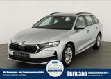 Skoda Octavia Combi TDI DSG Selection, AHK, ACC, Kamer - Skoda Octavia Tageszulassungen mit Diesel-Antrieb