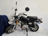 Skyteam ST50-8 - KLEINKRAFTRAD VON 1 BIS 50 CCM
