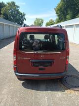 Mercedes-Benz Citan Tourer Edition 111 CDI - Mercedes-Benz Citan von privat