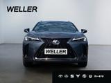 Lexus UX 300h F SPORT Design *LED*ACC*Kamera*SHZ*PDC* - Lexus UX Gebrauchtwagen