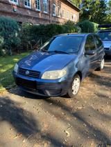 Fiat Punto 1.2 16V Dynamic Dynamic - Fiat Punto Gebrauchtwagen in Hamburg