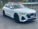 Audi e-tron 50 quattro Sline/Dab/Matrix21zoll/PanoAcc - Audi mit Elektro-Antrieb