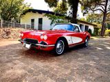Corvette C1 mit Matching Numbers in Zustand: 2+  - Corvette C1