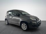 Fiat Panda 1.2 Lounge/ PDC H/KLIMA/RADIO/TÜV NEU - Fiat Panda: 1.1