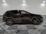 Lexus NX 450h 450h+ E-FOUR - - Lexus NX-Serie mit Schiebedach