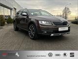 Skoda Octavia 2.0 TDI 4x4 Scout CarPlay AHK*ACC*DAB - Skoda Octavia: Scout TDI