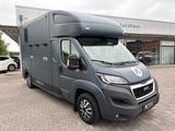 Peugeot Boxer MSG Pferdetransporter Stablehopper Klima - Peugeot Doppelkabine