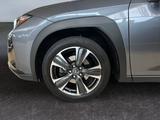 Lexus UX 250h Style Edition *Bi-LED*ACC*CAM*SHZ*CarPla - scheckheftgepflegte Lexus UX