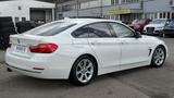 BMW 430d Gran Coupe xDrive Sport Line*Pano*Leder - BMW 430: 430d