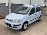 Fiat Panda 1.2 8V Dynamic Klima Tüv Neu - gebrauchte Fiat Panda aus dem Jahr 2010