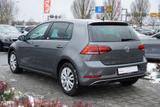 Volkswagen Golf VII 1.0 Sound Klimaaut. LED ACC Dynaudio - Volkswagen Golf: Grau