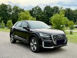 Audi Q2 2.0 TDI 140kW S tronic quattro S line*Pano - Audi Q2 aus 2016