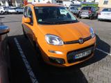 Fiat Panda More - Fiat: Orange