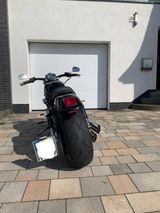Harley-Davidson V Rod Custom 240 Hinterrad , nur 8000 KM!! - Angebote entsprechen deinen Suchkriterien