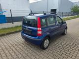 Fiat Panda 1.25 Euro 4 - Fiat Panda bis 5.000 Euro