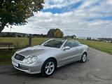 Mercedes-Benz CLK 320 AVANTGARDE - Mercedes-Benz CLK 320: Avantgarde