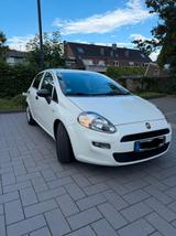 Fiat Punto 1.2 8V - - gebrauchte Fiat Punto aus dem Jahr 2017