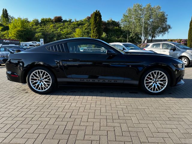 Ford Mustang  USA Shelby Optik