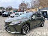 Lexus RX 450h+E-Four Luxury.360 Kam.AWD.P.Dach.ACCMY26 - Lexus RX 450 Gebrauchtwagen