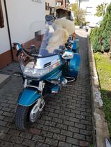 Honda GoldWing Trike GL1500 SE-EML - GEBRAUCHT 1500 GOLDWING