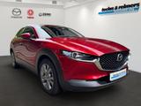 Mazda CX-30 e-SKYACTIV-G 122 AT Exclusive-L. Matrix/36 - Mazda CX-30 mit Hybrid-Antrieb