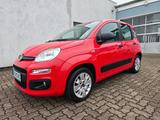 Fiat Panda Easy Klima TÜV + Service Neu - gebrauchte Fiat Panda aus dem Jahr 2017