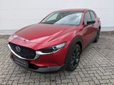 Mazda CX-30 2.5l (140PS) Homura Kamera Navi 2025 NEU - Mazda CX-30 Neuwagen