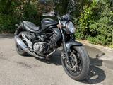 Suzuki Gladius SFV 650 ABS - Angebote