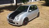 Volkswagen VW Lupo GTI 1,6, 125 PS - Volkswagen Lupo: GTI