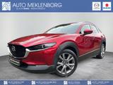 Mazda CX-30 "Selection" 2.0l 150PS "DES-P" "ACT-P" *BO - Mazda CX-30 Gebrauchtwagen in Berlin