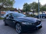 Jaguar XE 20d 180PS AWD Portfolio Automatik Portfolio - Jaguar XE: Portfolio