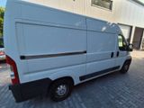 Fiat Ducato Kastenwagen hoch, mit MwSt - Fiat Ducato: Van