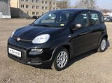 Fiat Panda MY24 1.0 Klima PDC Citypaket