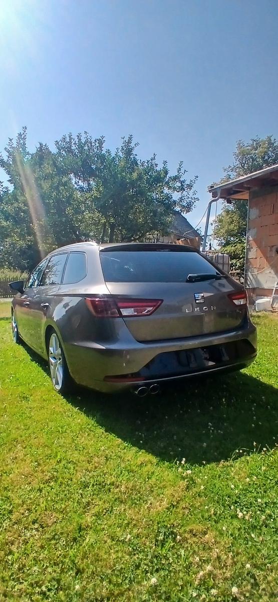 Seat Leon 2014 — вигляд ззаду
