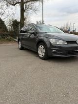 Volkswagen Golf 1.6 TDI BlueMotion Variant - Volkswagen: Bluemotion
