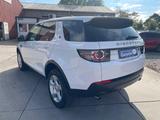 Land Rover Discovery Sport 2,0 TD Basis FWD/Navi/Kamera/Kli - gebrauchte Land Rover Discovery aus dem Jahr 2019
