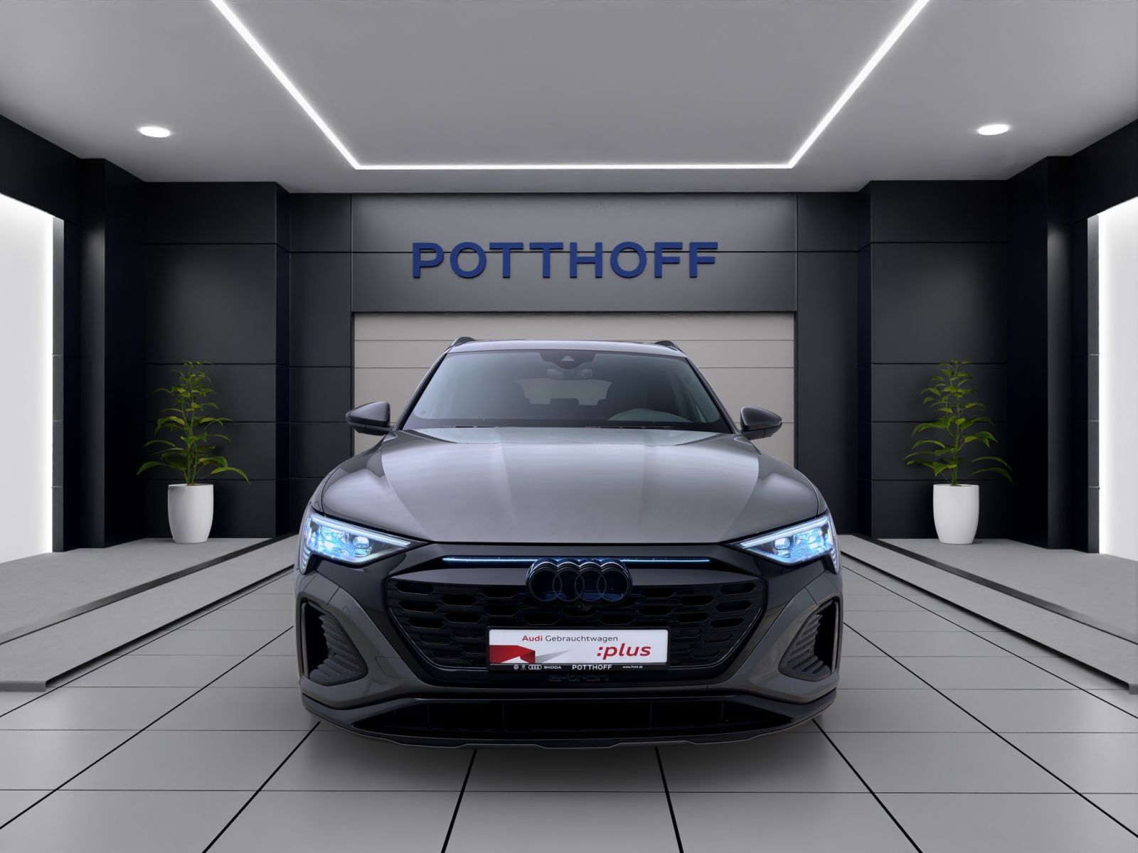 Audi Q8 - Bild 7