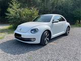 Volkswagen Beetle 1.4 TSI - - Volkswagen Beetle in Wuppertal