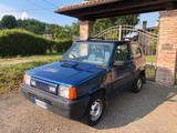 Fiat Panda 4x4 trekking - gebrauchte Fiat Panda aus dem Jahr 2002