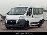 Fiat Ducato Kombi 30 115 9-Sitzer 1.Hand St.Hz. - Fiat: Sitzer 9