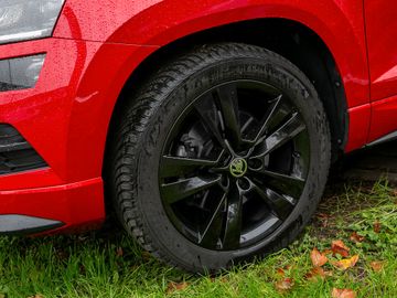 Skoda Karoq 2.0 Sportline 4x4 Assistenz-Paket Kamera