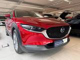 Mazda CX-30 Selection 122 PS *AHK*Design*Premium-Paket - Mazda in Hagen