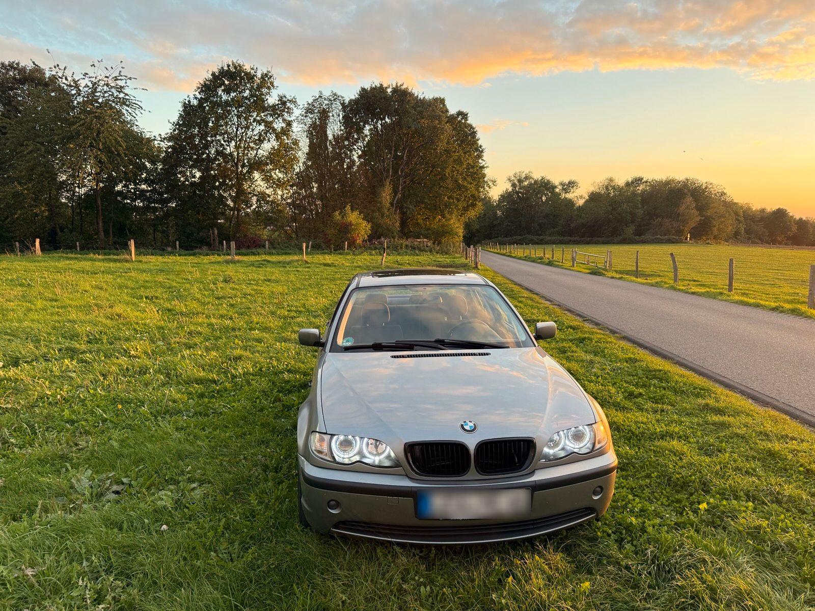 BMW 318