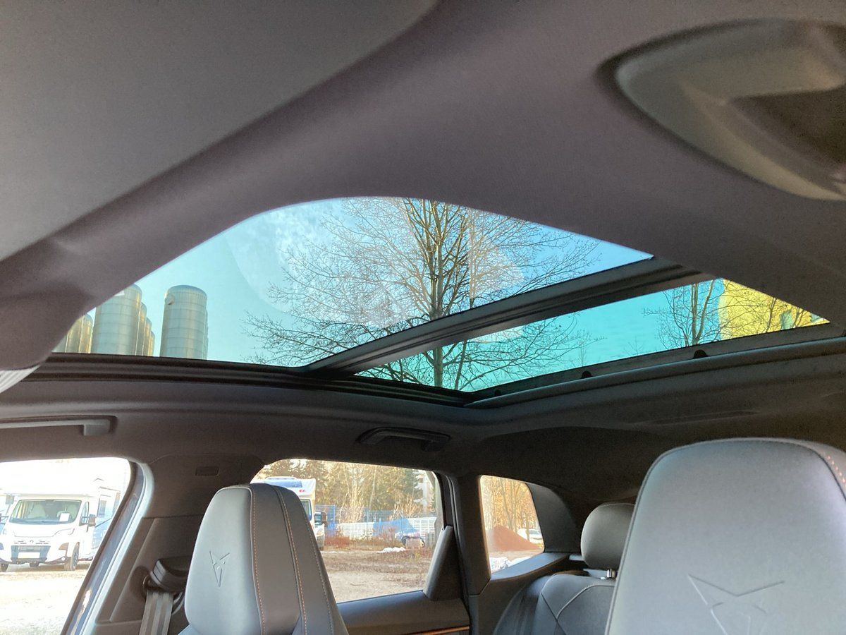 Cupra Terramar - Bild 31